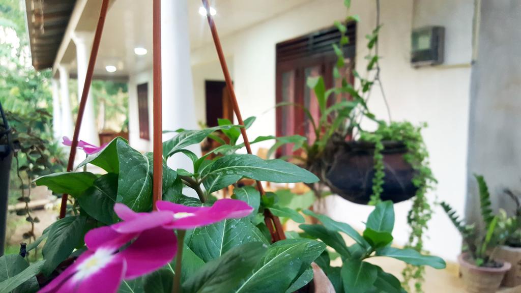 Kassapa Home Stay Sigiriya Exteriör bild